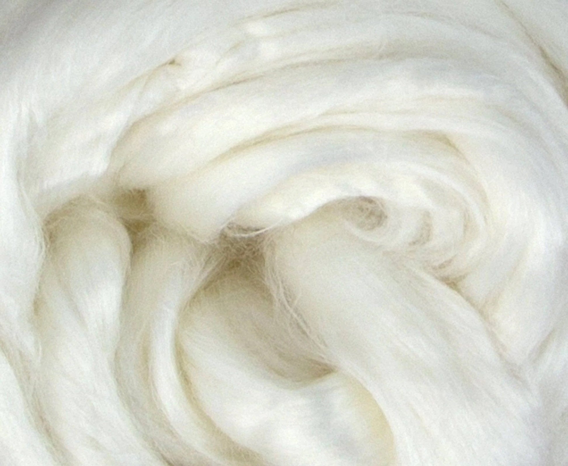 Europa Wools Ltd Plant Fibers white top Bamboo Fiber (sold by the ounce)