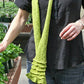 Halcyon Yarn Digital Patterns Accordion Accent Scarf, download