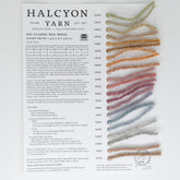 Halcyon Yarn's Classic Rug Wool Sample Cards feature a charming palette with wool samples in various shades neatly attached to a white card beside descriptive text and codes, catering perfectly to rug makers' needs.