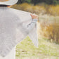 Ingram Content Books Plum Dandi Knits