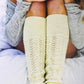 Ingram Content Books Plum Dandi Knits