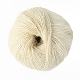 Kingfisher Yarn & Fibre Yarn Fleece Jo Sharp Silkroad DK Tweed