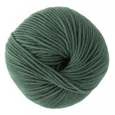 Kingfisher Yarn & Fibre Yarn Remedy Jo Sharp New Era Merino DK Superwash