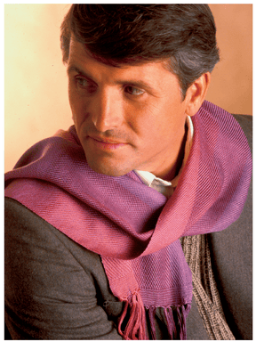 Long Thread Media Books Best of Handwoven, Weaving with Silk: A Dozen Projects on Four and Eight Shafts eBook (Printed version)
