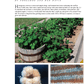 Long Thread Media Books Spin-Off Presents: Cotton from Growing to Finishing: eBook Printed Copy
