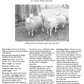 Long Thread Media Books Spin Off Presents: Down and Related Breeds - eBook Printed Copy
