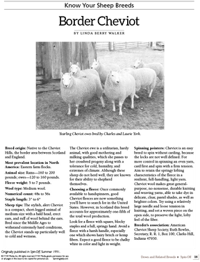 Long Thread Media Books Spin Off Presents: Down and Related Breeds - eBook Printed Copy