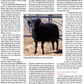Long Thread Media Books Spin Off Presents: Down and Related Breeds - eBook Printed Copy