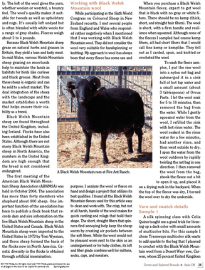 Long Thread Media Books Spin Off Presents: Down and Related Breeds - eBook Printed Copy