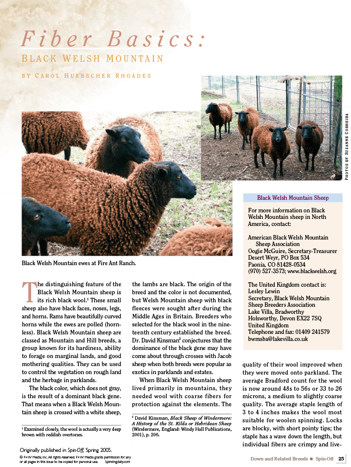 Long Thread Media Books Spin Off Presents: Down and Related Breeds - eBook Printed Copy