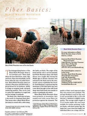 Long Thread Media Books Spin Off Presents: Down and Related Breeds - eBook Printed Copy
