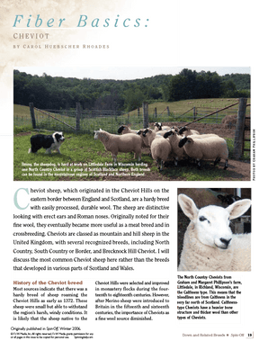 Long Thread Media Books Spin Off Presents: Down and Related Breeds - eBook Printed Copy
