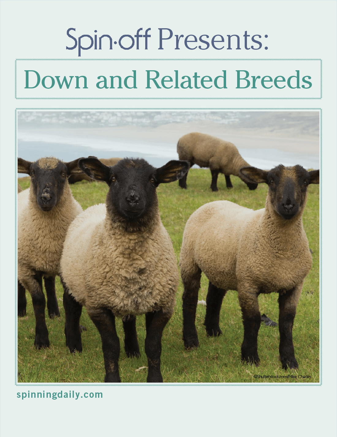 Long Thread Media Books Spin Off Presents: Down and Related Breeds - eBook Printed Copy