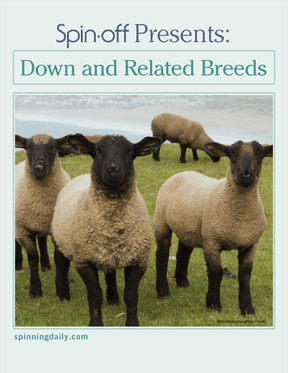 Long Thread Media Books Spin Off Presents: Down and Related Breeds - eBook Printed Copy