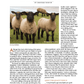 Long Thread Media Books Spin Off Presents: Down and Related Breeds - eBook Printed Copy