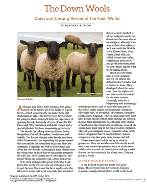 Long Thread Media Books Spin Off Presents: Down and Related Breeds - eBook Printed Copy