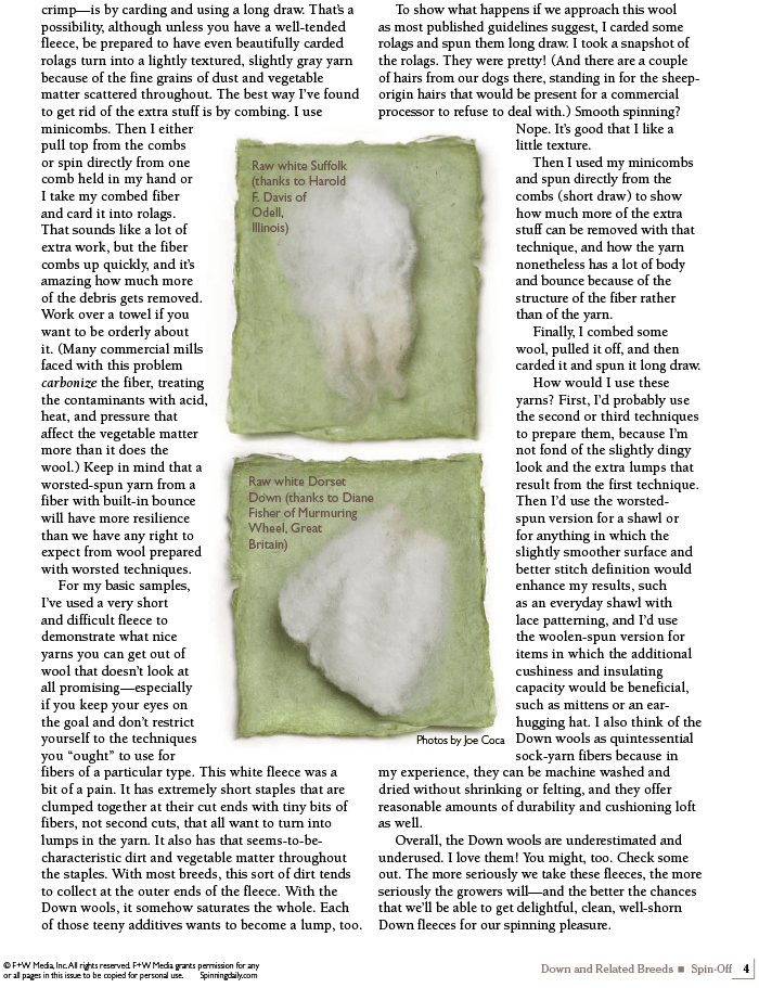 Long Thread Media Books Spin Off Presents: Down and Related Breeds - eBook Printed Copy