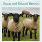 Long Thread Media Books Spin Off Presents: Down and Related Breeds - eBook Printed Copy