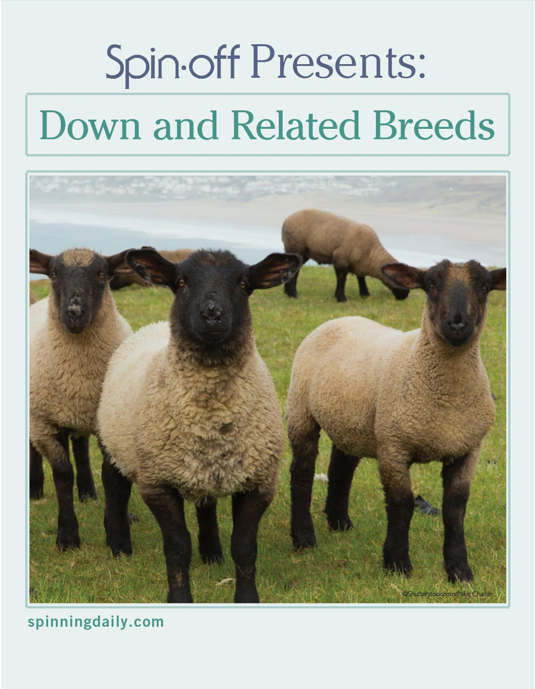 Long Thread Media Books Spin Off Presents: Down and Related Breeds - eBook Printed Copy