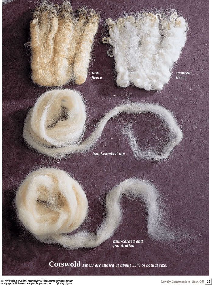 Long Thread Media Books Spin Off Presents: Lovely Longwools - eBook Printed Copy