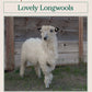 Long Thread Media Books Spin Off Presents: Lovely Longwools - eBook Printed Copy