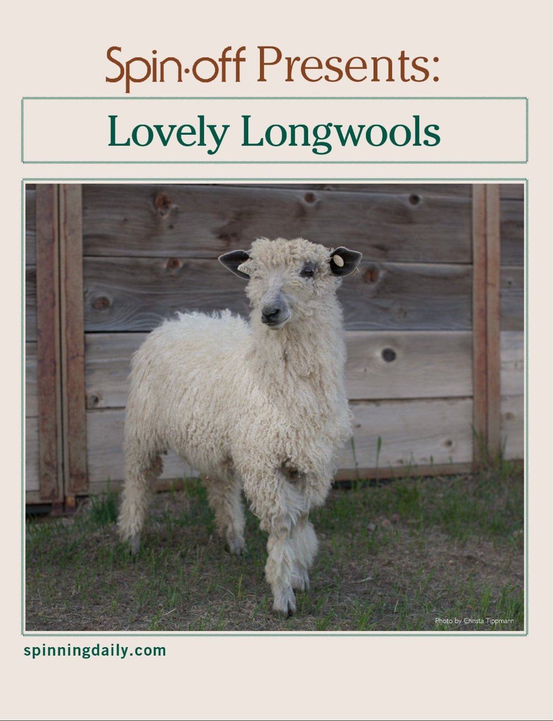 Long Thread Media Books Spin Off Presents: Lovely Longwools - eBook Printed Copy