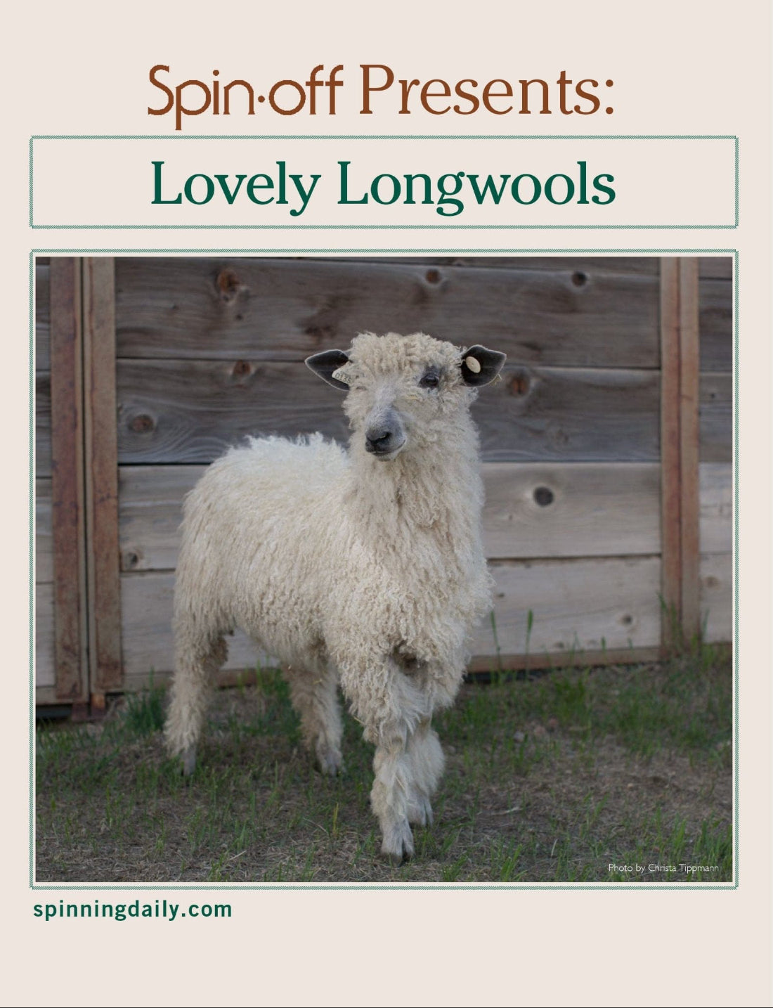 Long Thread Media Books Spin Off Presents: Lovely Longwools - eBook Printed Copy