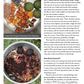 Long Thread Media Books Spin Off Presents: Natural Dye Series: Easy Peasy Natural Dyeing – eBook Printed Copy