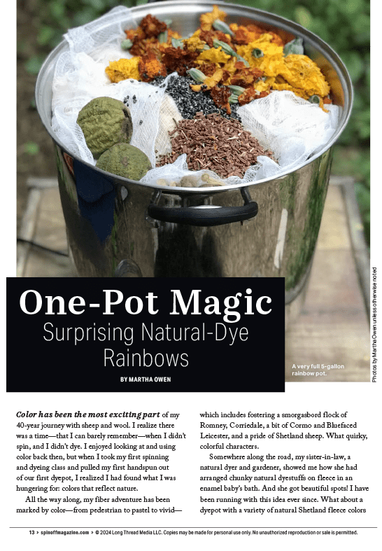 Long Thread Media Books Spin Off Presents: Natural Dye Series: Easy Peasy Natural Dyeing – eBook Printed Copy