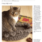 Long Thread Media Books Spin-Off Presents: Spinning for Crochet: eBook Printed Copy
