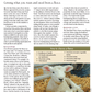 Long Thread Media Books Spin-Off Presents: The Judith MacKenzie Collection: eBook Printed Copy