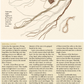 Long Thread Media Books Spin-Off Presents: Weaving with Handspun: eBook Printed Copy