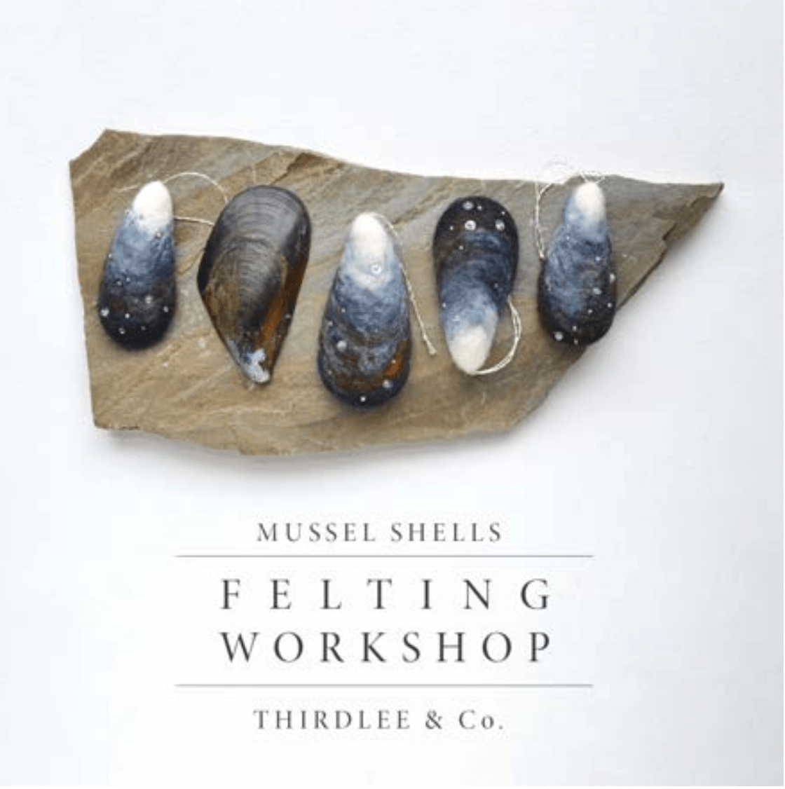 Shells Needle Helting Needle Felting Class: Mussel Shells with Michelle Provencal | Halcyon ...
