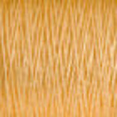 Supreme Corp. Yarn 46 Champagne 3/2 Pearl Cotton Yarn | Large Cone