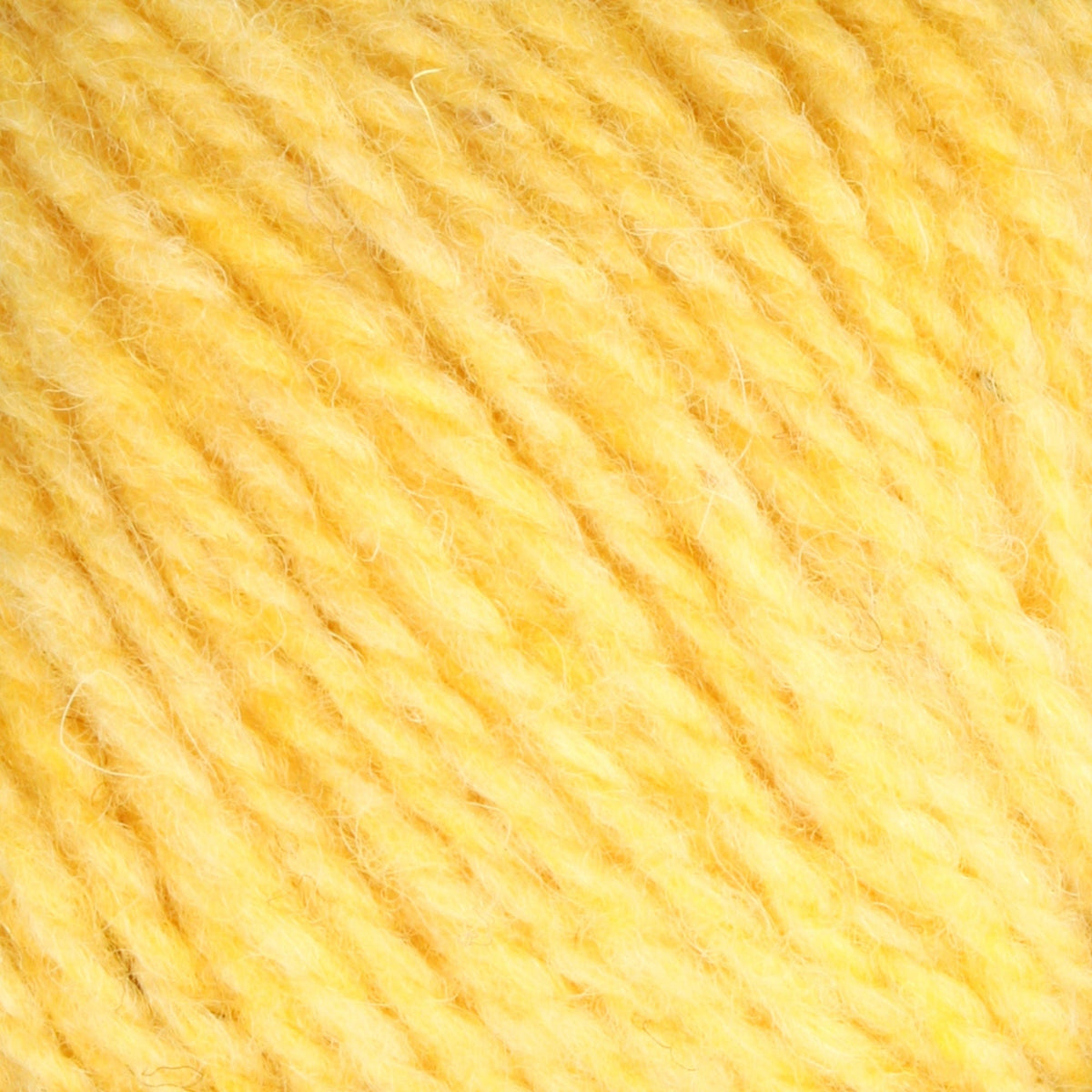 Close-up of Bartlettyarns Maine Wool Yarn (Fisherman 2-Ply) by Bartlettyarns in yellow, revealing its soft, fuzzy texture and tightly twisted fibers for a warm, cozy look.