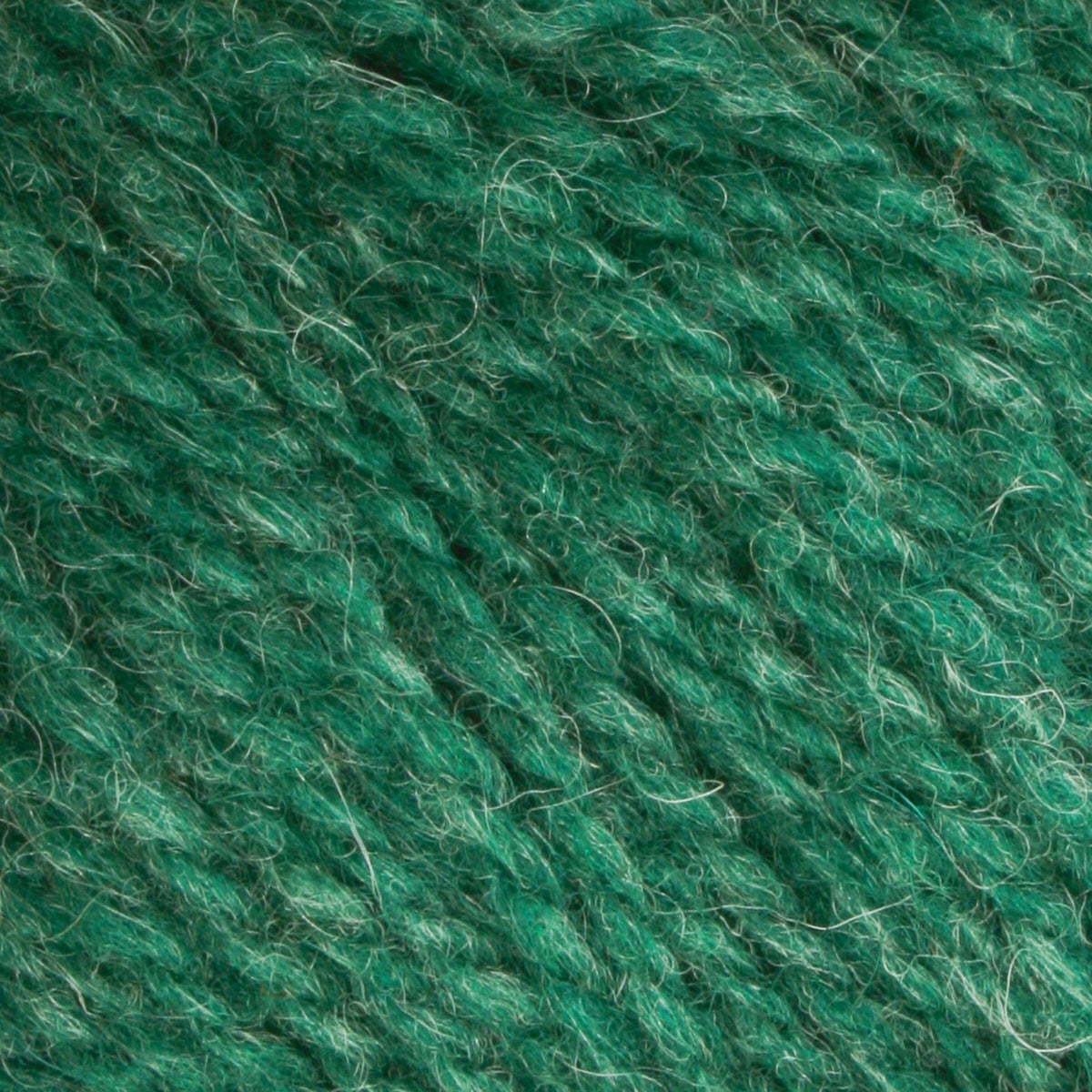 Close-up of Bartlettyarns Maine Wool Yarn (Fisherman 2-Ply) by Bartlettyarns, highlighting its thick, twisted green fibers with visible texture and fine loose strands throughout.