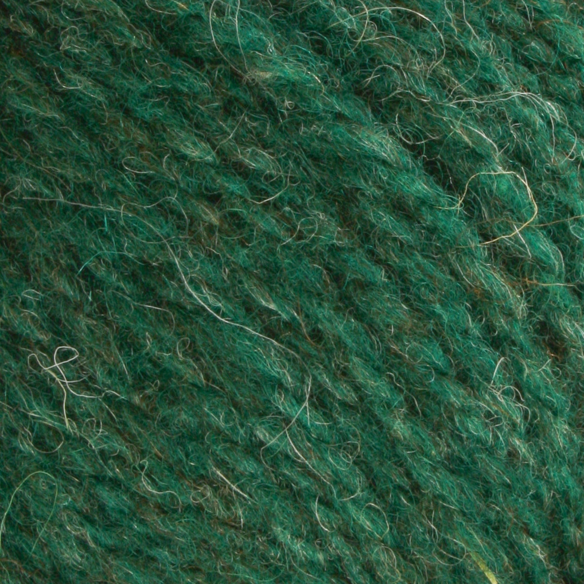 Close-up of Bartlettyarns Maine Wool Yarn (Fisherman 2-Ply) in green, highlighting its soft, fuzzy texture with visible twisted fibers and pale interwoven strands. This water repellent yarn is crafted by Bartlettyarns.