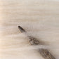 Berroco, Inc. Yarn White Plötulopi Unspun Icelandic Wool Yarn