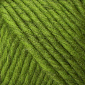 Brown Sheep Yarn Kiwi Lamb's Pride Worsted Yarn