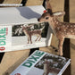 Europa Wools Ltd Felting Kits Dixie the Deer Animal Sculpture Felting Kits