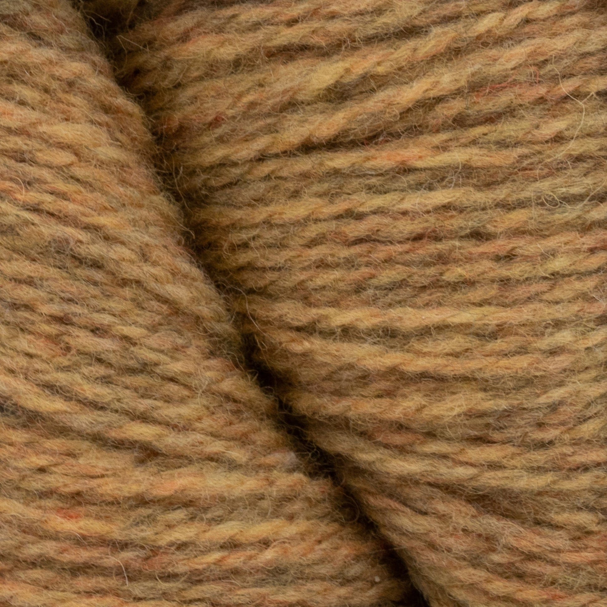 Knitting Fever / Euro Yarns Yarn Patagonia Organic Merino by Juniper Moon Farm