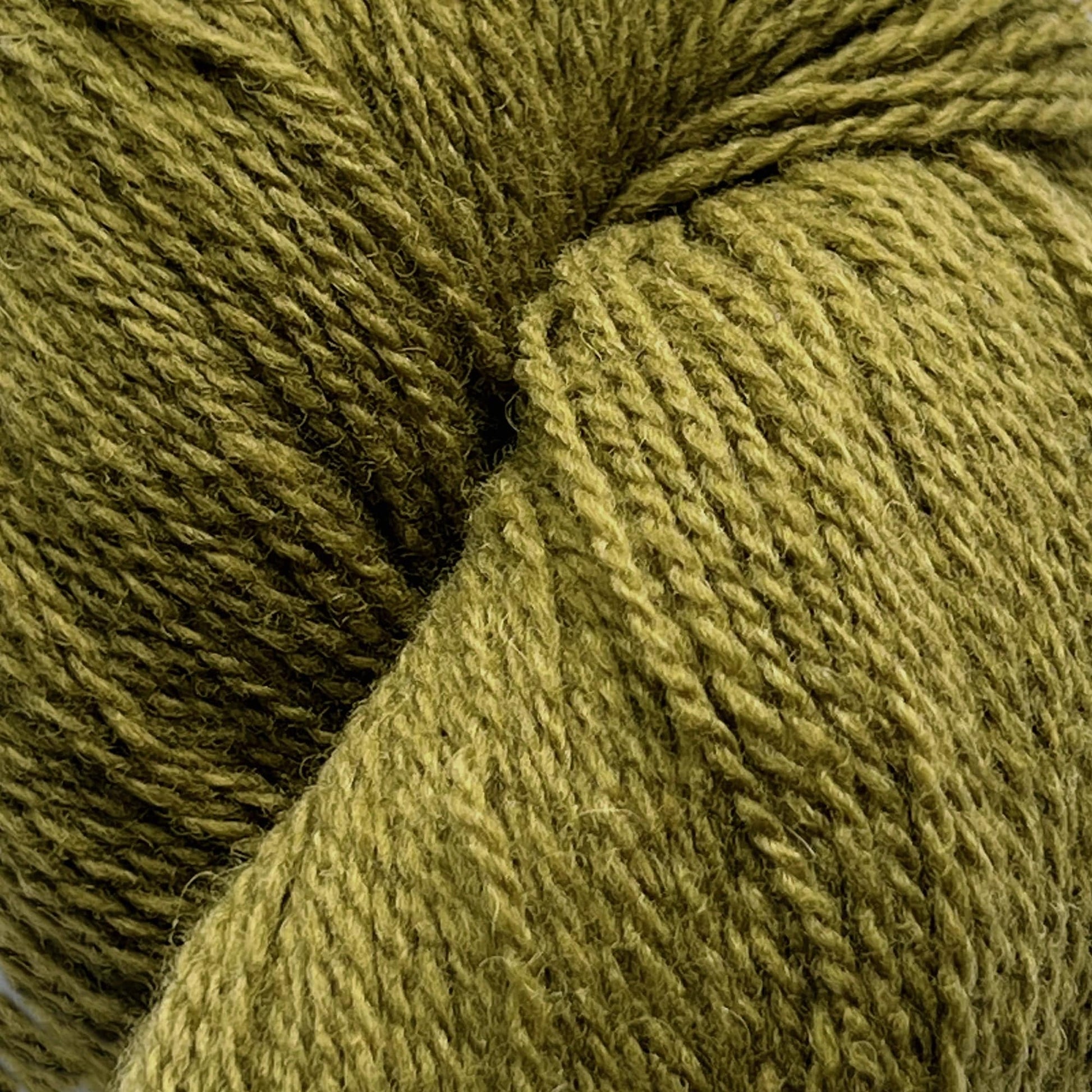 Knitting Fever / Euro Yarns Yarn Patagonia Organic Merino by Juniper Moon Farm