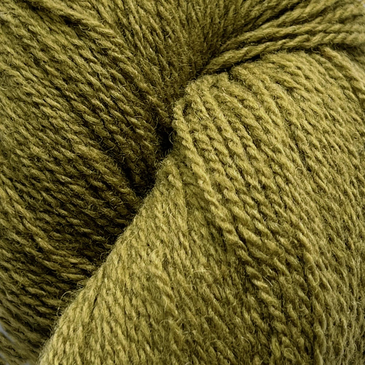 Knitting Fever / Euro Yarns Yarn Patagonia Organic Merino by Juniper Moon Farm