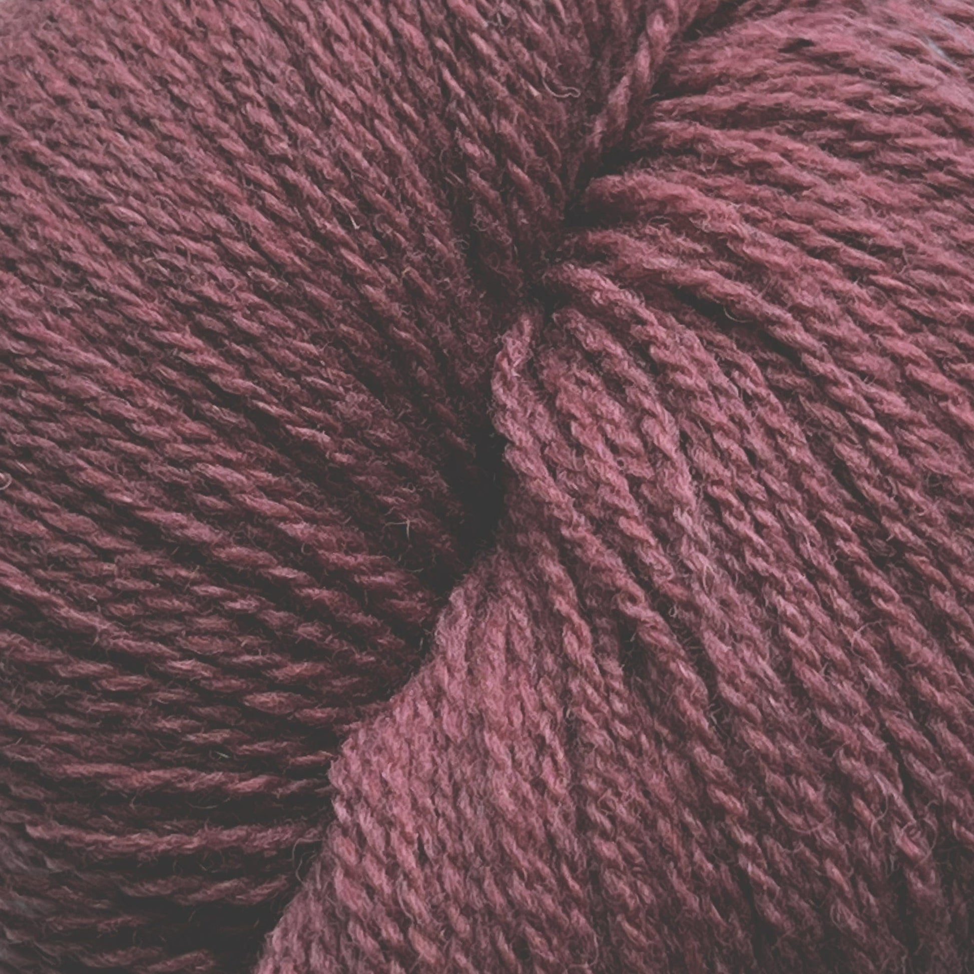 Knitting Fever / Euro Yarns Yarn Patagonia Organic Merino by Juniper Moon Farm