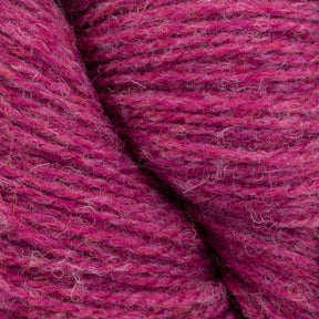 Knitting Fever / Euro Yarns Yarn Patagonia Organic Merino by Juniper Moon Farm