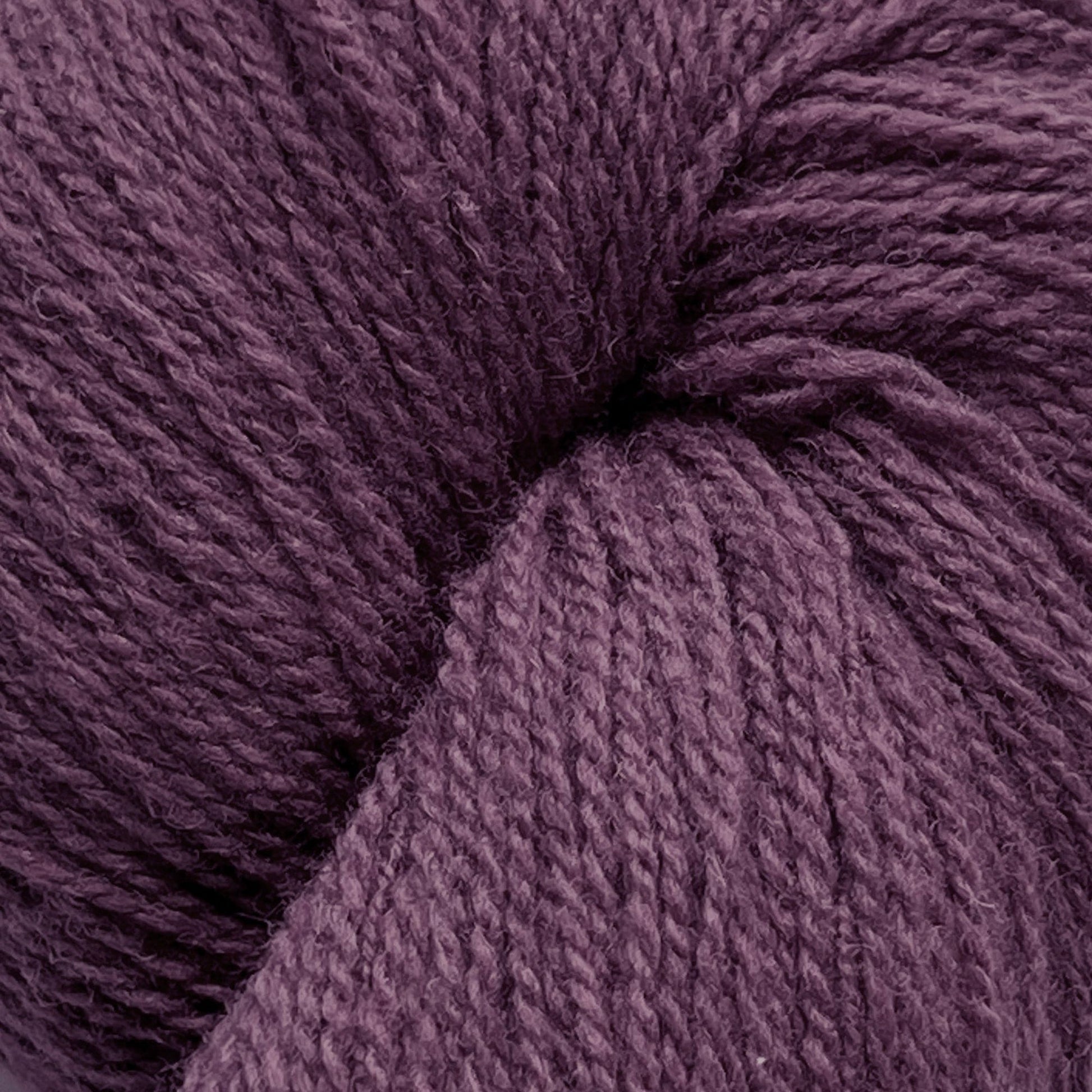 Knitting Fever / Euro Yarns Yarn Patagonia Organic Merino by Juniper Moon Farm