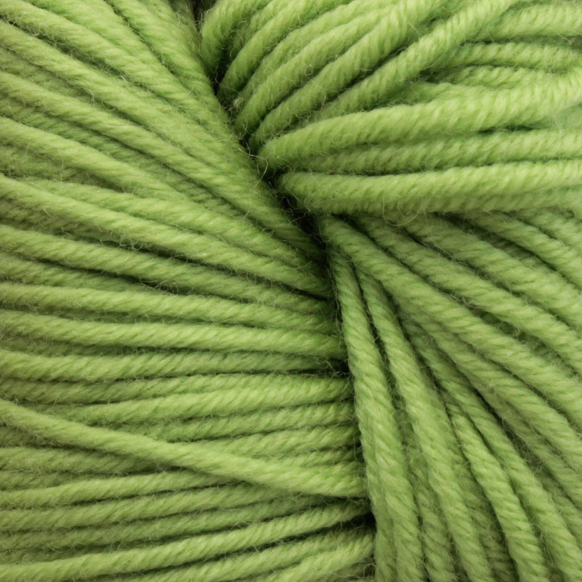 Plymouth Yarn Co. Yarn Primavera Plymouth Select Worsted Merino Superwash