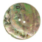 Skacel Buttons 7/8" Mexican Abalone Button